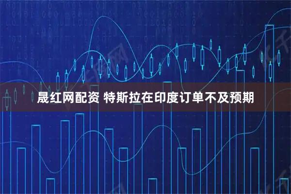 晟红网配资 特斯拉在印度订单不及预期