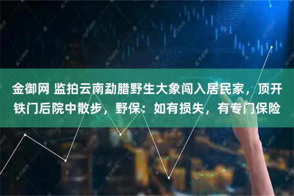 金御网 监拍云南勐腊野生大象闯入居民家，顶开铁门后院中散步，野保：如有损失，有专门保险