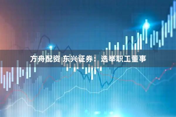 方舟配资 东兴证券：选举职工董事